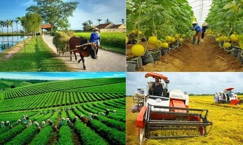 ADB và BIDV ký gói tài chính 250 triệu USD hỗ trợ nông nghiệp bền vững, nữ chủ DN