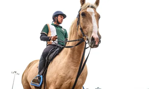 Bên trong nơi nuôi dưỡng giống ngựa triệu đô hiếm bậc nhất thế giới tại Việt Nam