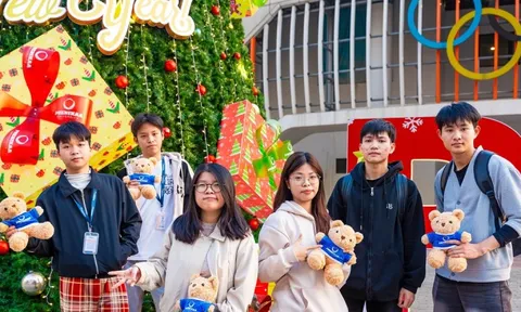 Xếp hàng xuyên đêm check-in cây thông Noel cao bằng tòa nhà 3 tầng ở Hà Nội