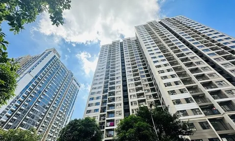 Kinh nghiệm 15 năm sống chung cư: Tôi nhận ra nên làm phòng khách ngang hay dọc, chọn đúng thì sống sướng, bán dễ