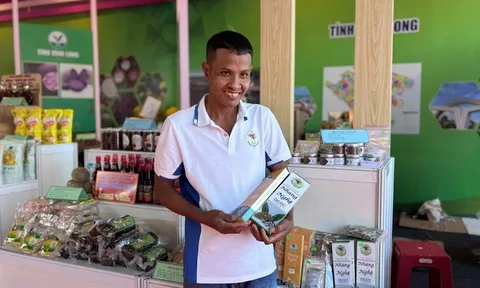 Lá nghệ bị bỏ đi thành "chìa khóa" khởi nghiệp của thạc sĩ hóa học