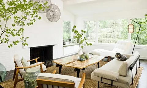 Đầu năm mới khuyên bạn nên trồng 5 loại cây này: Rước lộc vào nhà, hút tiền bạc như nam châm