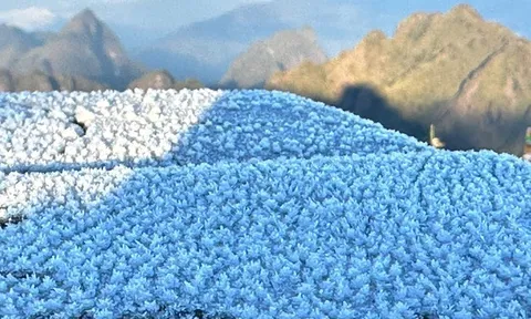 Miền Bắc đón đợt không khí lạnh mạnh, có nơi xuống 1 độ C, xuất hiện băng giá