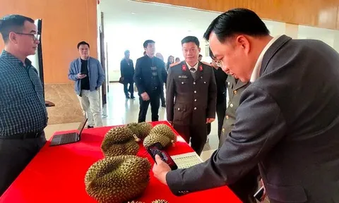 Thí điểm truy xuất nguồn gốc sầu riêng từ đầu năm 2026