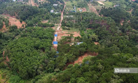 Năm 2026, thiết lập và vận hành sàn giao dịch carbon trong nước