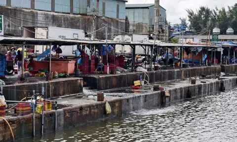 Xử lý nước thải cảng cá Quảng Ngãi: Hoạt động cầm chừng, dân lo ô nhiễm