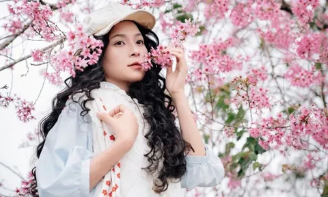 Sắc hồng phủ kín cao nguyên, vạn vật đều thua mùa hoa này ở Đà Lạt