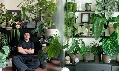 Bỏ phố về... ban công: Chàng trai 9x chia sẻ bí kíp "mang rừng về phố", chỉ 3 quy tắc sắp xếp là có ngay góc chill triệu like