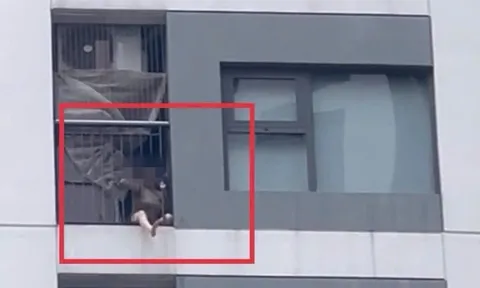 Bức ảnh chụp lô gia căn hộ chung cư khiến nhiều người giật mình thắc mắc: Sao có thể như vậy?