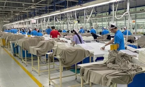 Tin vui: 7 DN ở TP HCM tiếp nhận hơn 2.700 công nhân mất việc trước Tết từ công ty Hàn Quốc