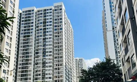 Kinh nghiệm 15 năm sống chung cư: Tôi nhận ra nên chọn màu sơn tông nóng hay lạnh, chọn đúng thì sống sướng, bán dễ