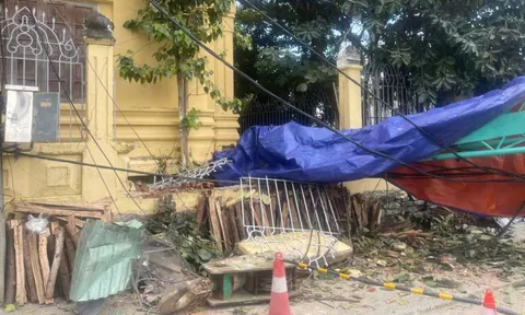 Sập cần cẩu tại dự án The One Tower Đà Nẵng, đè sập tường Bảo tàng Chăm