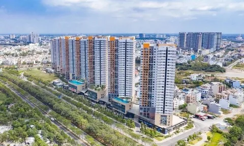 Novaland thoái vốn tại dự án The Sun Avenue, trở thành cổ đông lớn tại Seaprodex