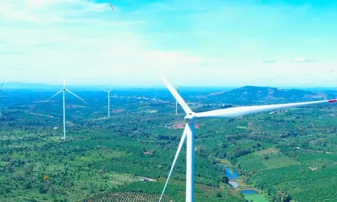Hai nhà máy điện gió gần 4.000 tỷ đồng ở Gia Lai vận hành sau nhiều năm gỡ vướng