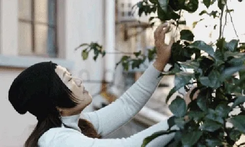 Thuê nhà nhỏ vẫn sống như biệt thự: Mẹ đơn thân biến ban công - sân hẹp thành khu vườn xanh mướt