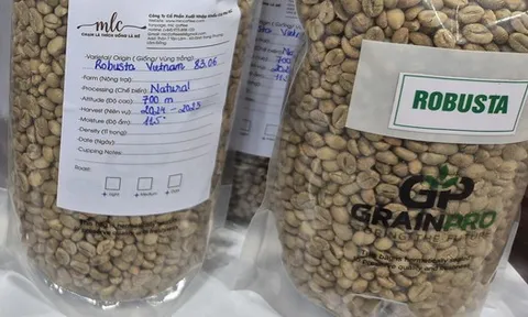 Giá cà phê hôm nay 3-1: Tiếp tục tăng