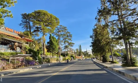 Cảnh tượng khó tin tại Đà Lạt trong dịp Tết dương lịch