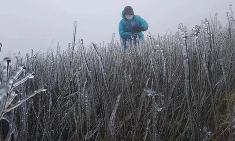 Dự báo thời tiết 3/1: Dự báo mức rét nhất đợt không khí lạnh đầu năm mới