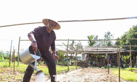 Khách Tây hào hứng làm nông dân gánh nước, trồng rau