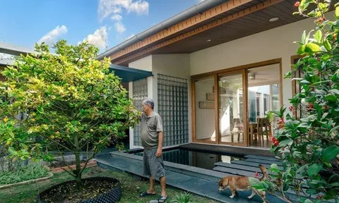 Ông bà nói: "Nhà mát nhờ cây, lộc bền nhờ đất" - 5 dấu hiệu nhận biết đất vàng phong thủy, ở lâu ắt giàu