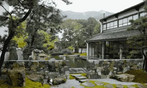 300m² đất thuê, 30 năm chỉ trồng 2 loại cây: Một bài toán “giữ tiền” ngược đời của đôi vợ chồng trung niên