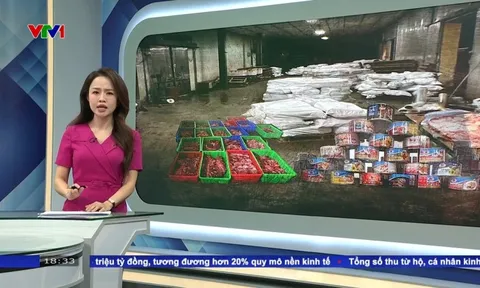 Vụ 120 tấn thịt lợn bốc mùi tập kết tại kho của Đồ hộp Hạ Long: Công an Hải Phòng chính thức khởi tố