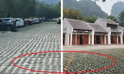 Hiện tượng ‘lạ’ ở Di sản Tràng An: Lời lý giải đang hút hơn 300.000 người xem