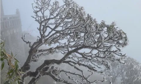 Dự báo thời tiết 10/1: Miền Bắc rét buốt đỉnh điểm, khối khí lạnh tăng cường xuống Trung Bộ