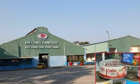 Nóng: Bắt khẩn cấp Tổng Giám đốc Đồ hộp Hạ Long