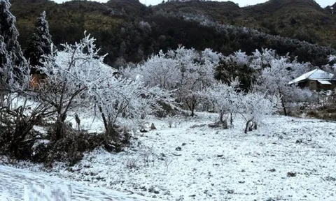 Dự báo thời tiết 11/1: Miền Bắc đón đợt không khí lạnh rất mạnh, dự báo nơi rét đậm nhất