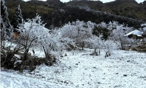 Dự báo thời tiết 12/1: Miền Bắc đón đợt không khí lạnh mạnh, nơi rét đậm nhất dưới 6 độ C