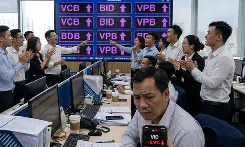 Những cổ phiếu ngân hàng, chứng khoán được nước ngoài mua mạnh nhất ngày 12-1