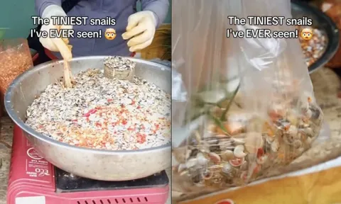 Bỏ 50.000 đồng mua món ốc lạ ở Việt Nam, khách Tây mỏi nhừ tay vì ăn mãi không xong