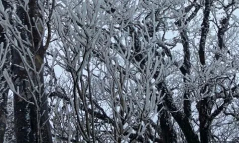 Miền Bắc sắp đón đợt không khí lạnh cực mạnh, rét đậm mở rộng và kéo dài