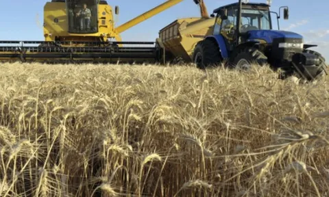 Hơn 700 nghìn tấn hàng từ Ukraine đổ bộ Việt Nam trong năm 2025, là mặt hàng nước ta gần như không trồng được