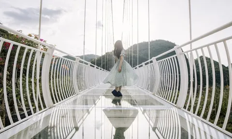 Việt Nam chính thức soán ngôi Trung Quốc để sở hữu cầu kính dài nhất thế giới khiến truyền thông quốc tế kinh ngạc