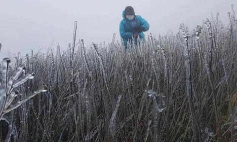 Miền Bắc không khí lạnh liên tiếp, dự báo nơi rét đậm nhất