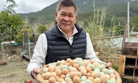 Nam diễn viên cả nước biết mặt phá sản vì món nợ 191 tỷ, nay về quê bán trứng, trái cây đầy chua xót