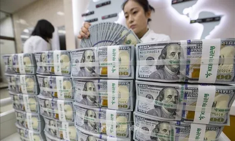 Bản tin tổng hợp: Tỷ giá USD/VND, giá xăng dầu, lãi suất ngân hàng ngày 5/1