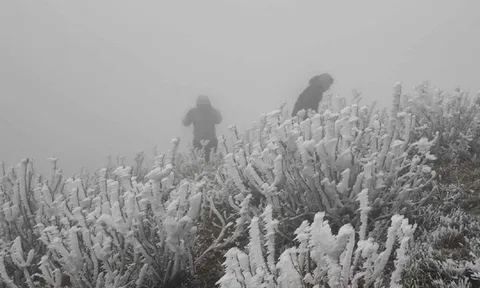 Miền Bắc đón "tin vui" thời tiết trước khi đợt không khí lạnh cường độ rất mạnh về rét buốt