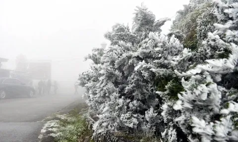 Dự báo thời tiết 15/1: Miền Bắc rét sâu, nhiều nơi khả năng có băng giá và sương muối