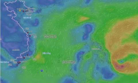 Xuất hiện cơn bão đầu tiên năm 2026, Việt Nam liệu có bị ảnh hưởng?