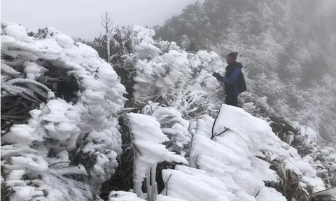 Dự báo thời tiết 16/1: Miền Bắc đón đợt không khí lạnh mạnh, trời chuyển rét đậm diện rộng