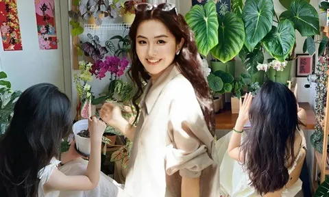 Không nhà vườn, không biệt thự: Ban công của bà mẹ trẻ khiến hàng nghìn người muốn sống chậm lại