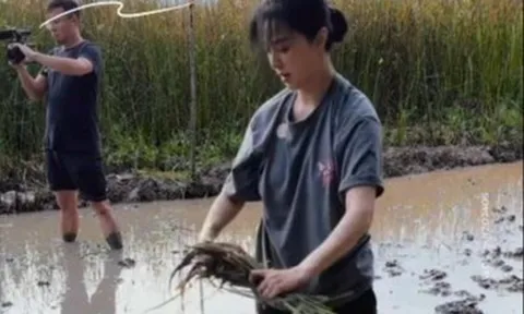 Hết cứu Phạm Băng Băng