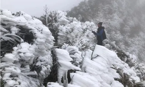 Dự báo thời tiết 17/1: Không khí lạnh tăng cường tràn về, miền Bắc rét đậm