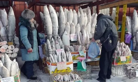 Không phải dầu thô hay khí đốt, một mặt hàng của Nga được người châu Âu cực mê: Chi hơn 700 triệu euro mua hàng, giá cao nhất trong nhiều năm