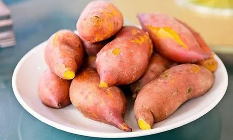 Kho dinh dưỡng từ khoai lang giúp tăng tuổi thọ
