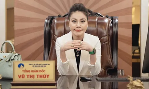 Xử phạt bà Vũ Thị Thúy và Sông Đà Nhật Nam