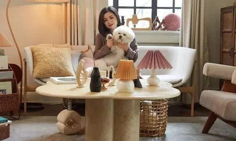 Bỏ 75 triệu/tháng thuê nhà, không kết hôn: Người phụ nữ 37 tuổi chọn "an toàn tài chính" theo cách không giống ai